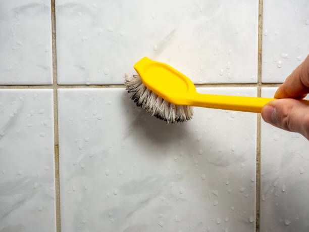 Best Emergency Mold Remediation in Earlysville, VA