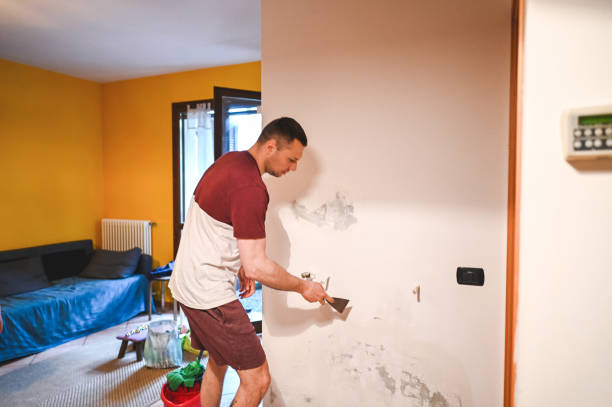 Professional Mold Remediation in Earlysville, VA