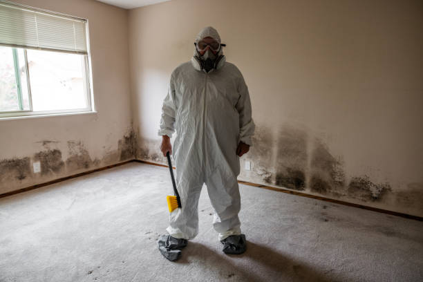 Best HVAC Mold Remediation in Earlysville, VA